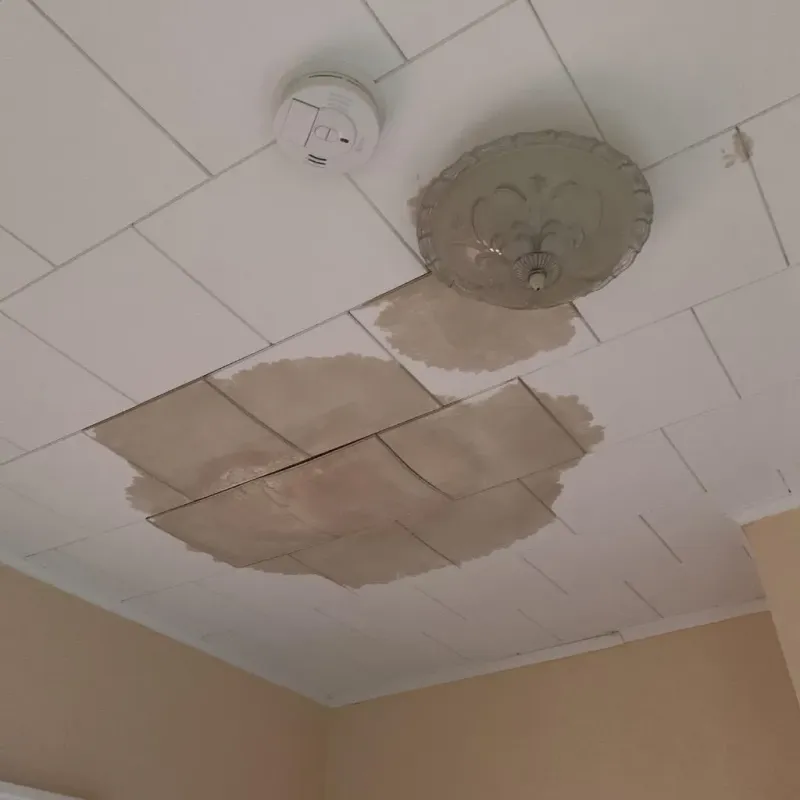 Ceiling Water Damage Repair in Carson County, TX