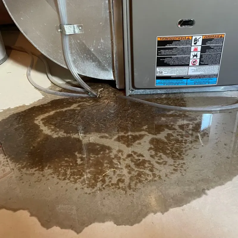 Pipe Burst and Leak Restoration in Carson County, TX