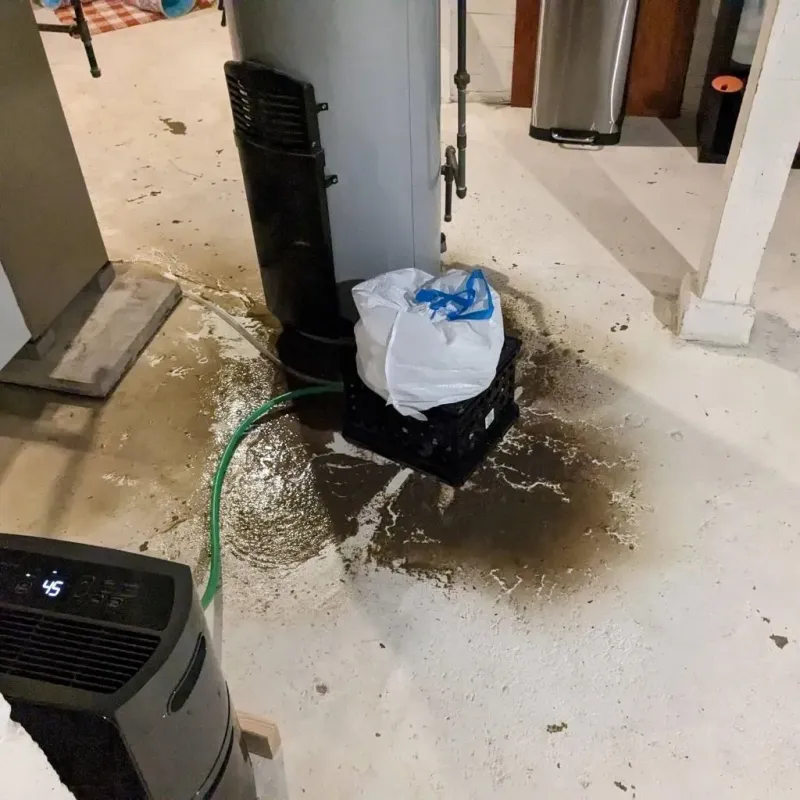 Sewage Backup Cleanup Service in Carson County, TX
